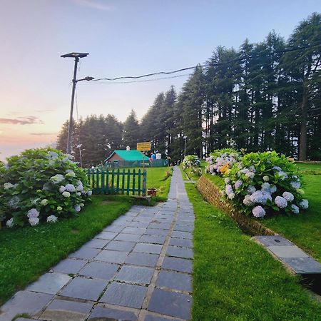Forest Vibes Kalatop-Rooms And Restaurant Dalhousie Dış mekan fotoğraf