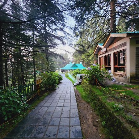 Forest Vibes Kalatop-Rooms And Restaurant Dalhousie Dış mekan fotoğraf