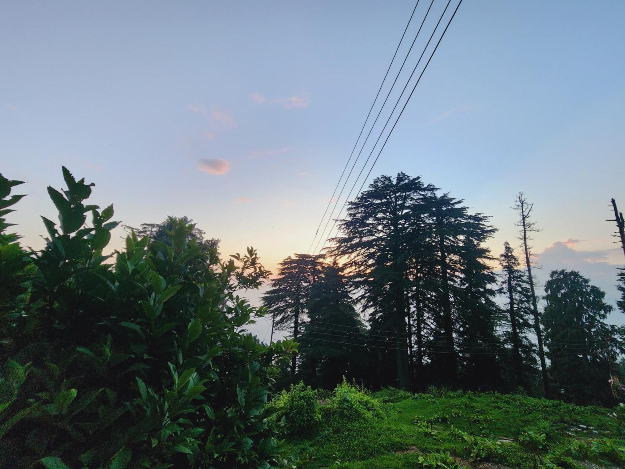 Forest Vibes Kalatop-Rooms And Restaurant Dalhousie Dış mekan fotoğraf