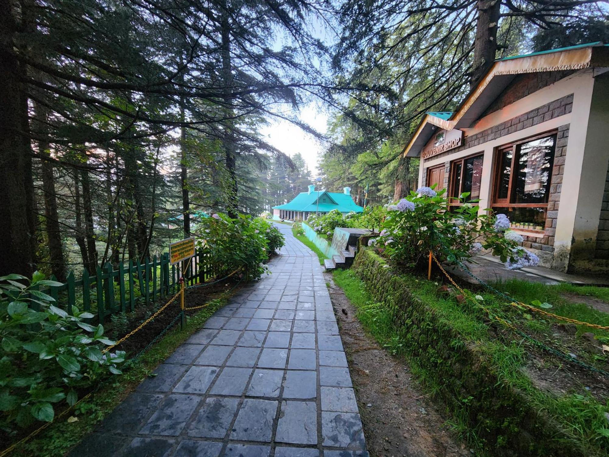 Forest Vibes Kalatop-Rooms And Restaurant Dalhousie Dış mekan fotoğraf