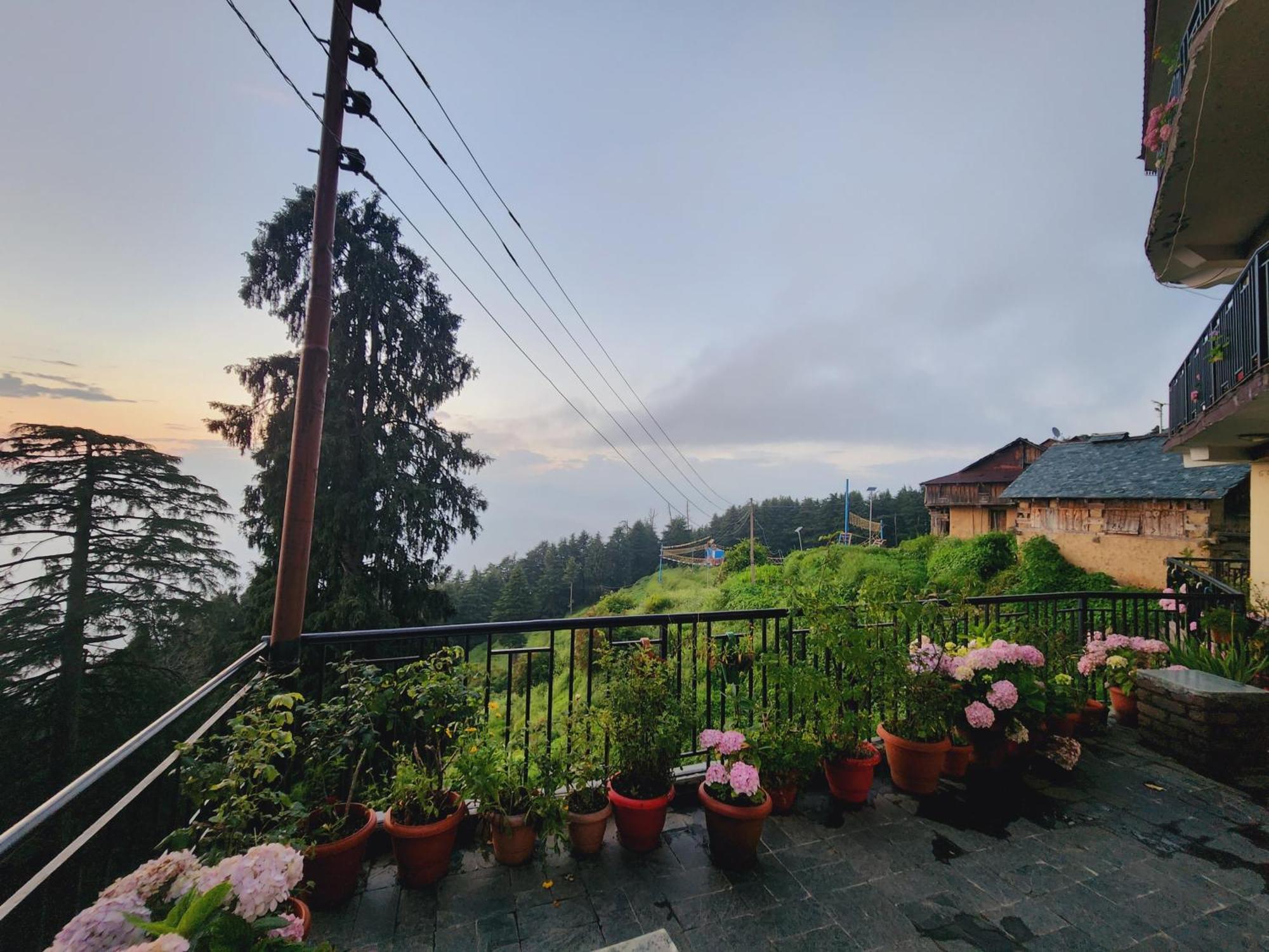 Forest Vibes Kalatop-Rooms And Restaurant Dalhousie Dış mekan fotoğraf