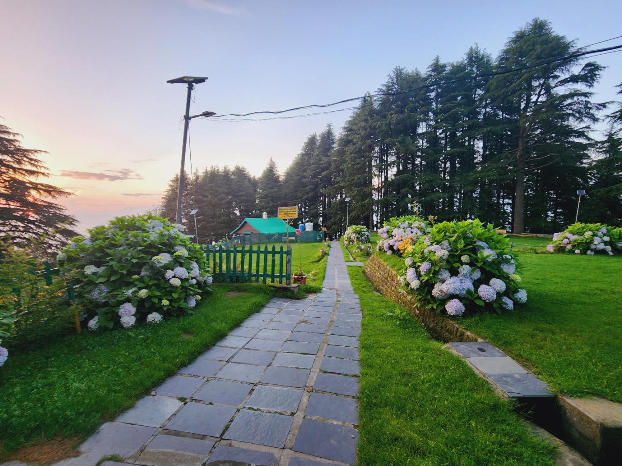 Forest Vibes Kalatop-Rooms And Restaurant Dalhousie Dış mekan fotoğraf