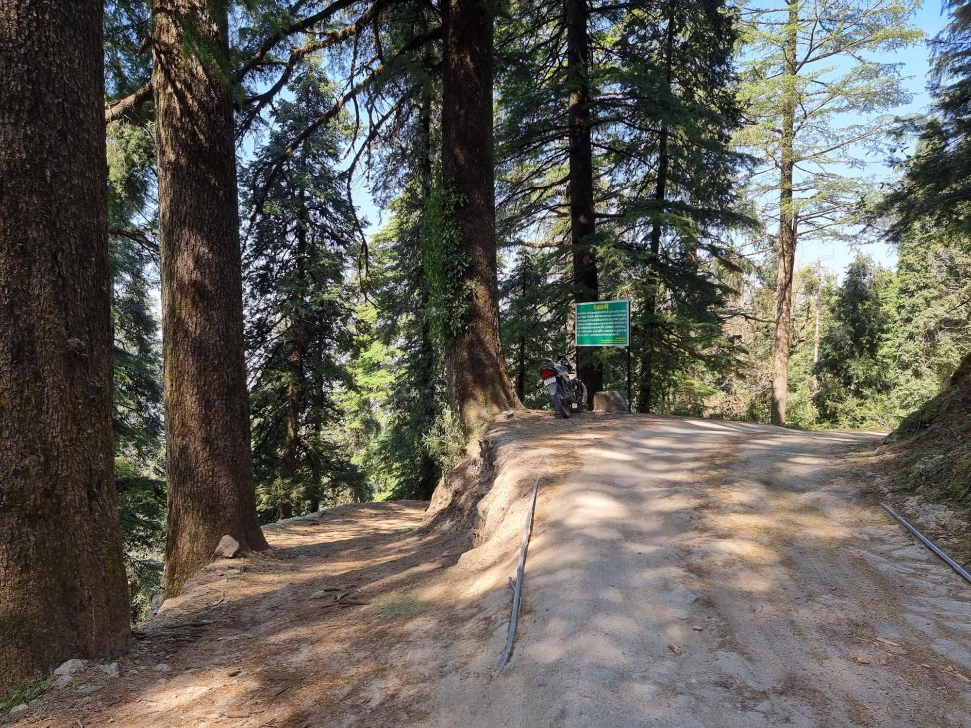 Forest Vibes Kalatop-Rooms And Restaurant Dalhousie Dış mekan fotoğraf