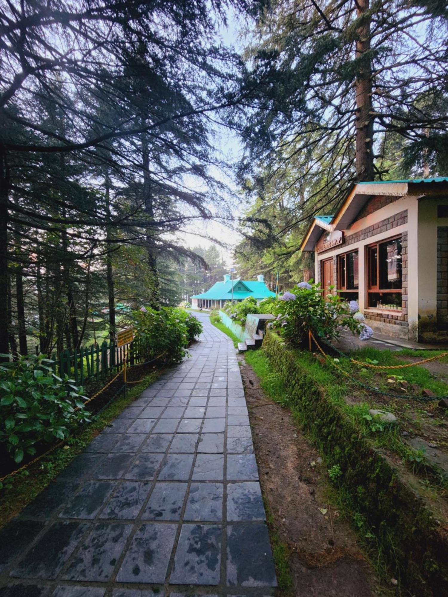 Forest Vibes Kalatop-Rooms And Restaurant Dalhousie Dış mekan fotoğraf