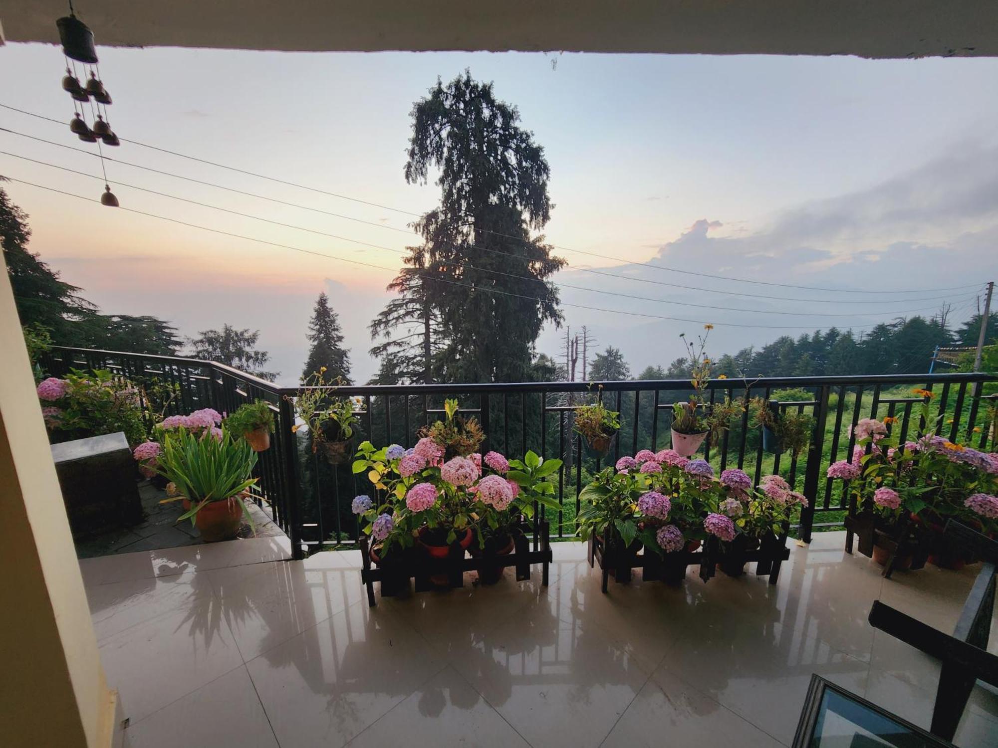Forest Vibes Kalatop-Rooms And Restaurant Dalhousie Dış mekan fotoğraf