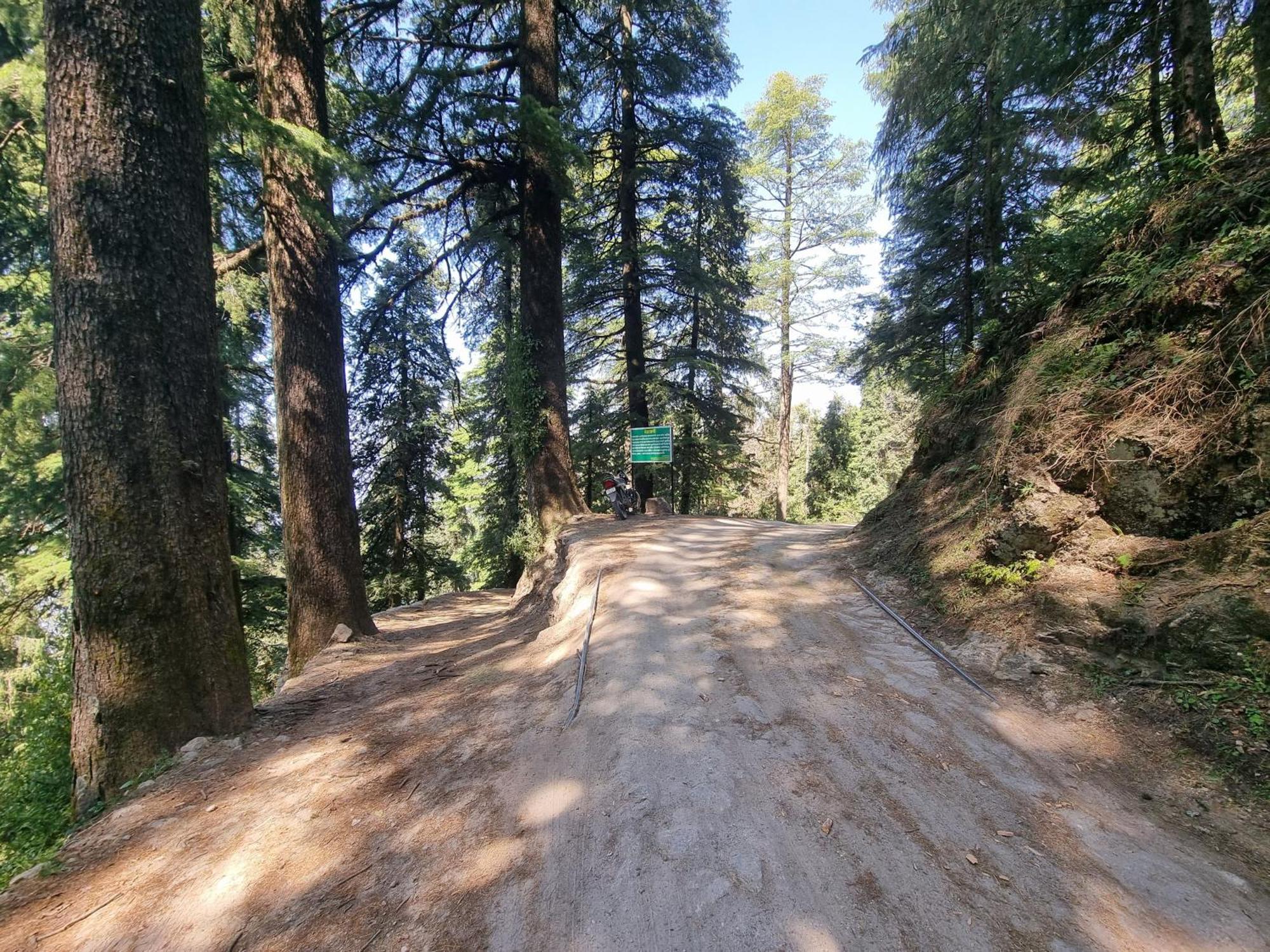 Forest Vibes Kalatop-Rooms And Restaurant Dalhousie Dış mekan fotoğraf